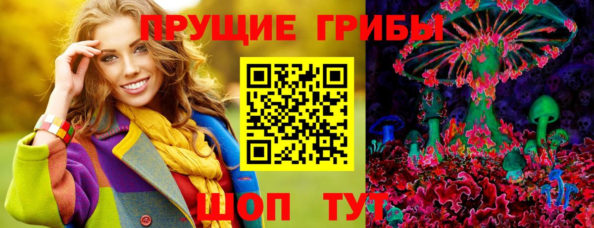 Луга  Галлюциногенные грибы Psilocybine cubensis  магазин    Вход с VPN 